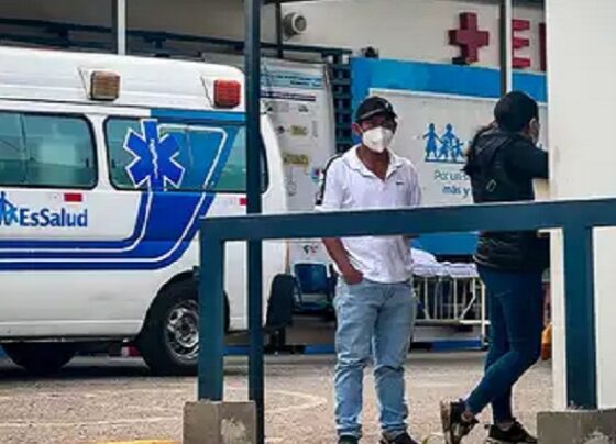 Viacrucis y resignación: afiliados de EsSalud mueren en el intento de ser atendidos