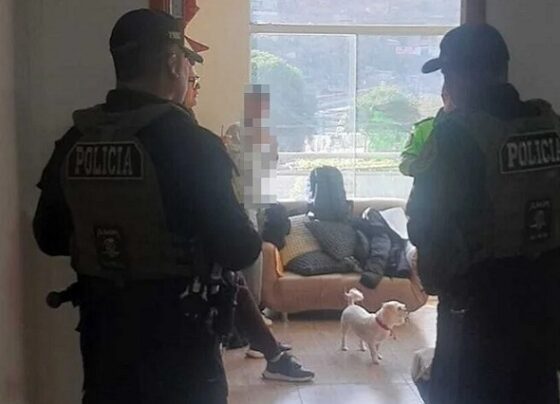 Anticorrupción allana siete inmuebles en investigación por el caso de compra de volquetes