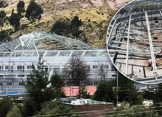 Cae estructura de techo de coliseo en Puno y provoca muerte de trabajador