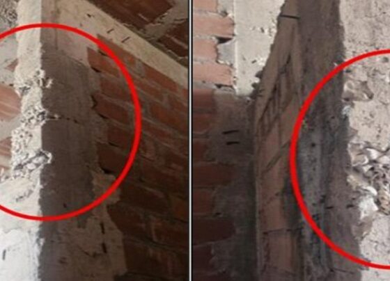 Contraloría advierte graves deficiencias estructurales en colegio Everardo Zapata de Islay