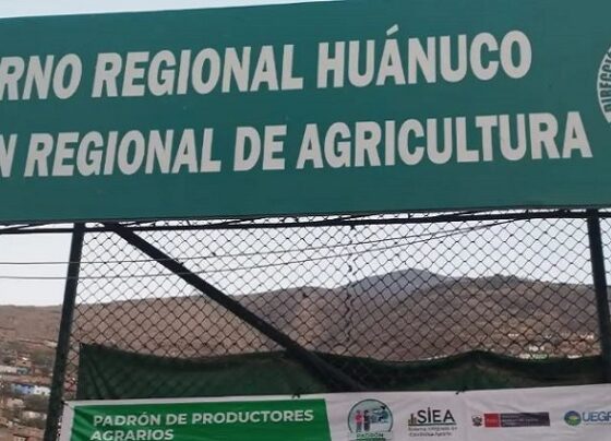 Fiscalía detecta presunta colusión agravada en proyectos de Dirección Regional de Agricultura de Huánuco