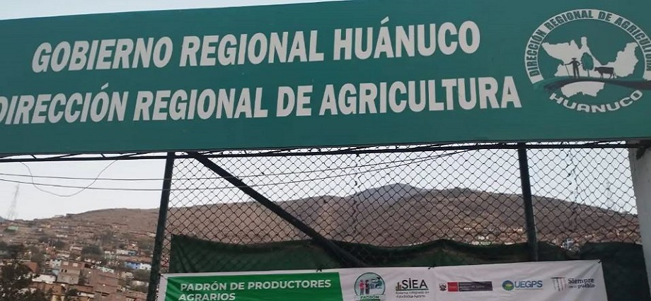 Fiscalía detecta presunta colusión agravada en proyectos de Dirección Regional de Agricultura de Huánuco