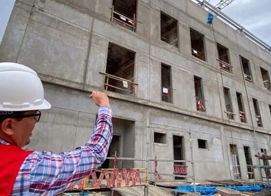 ANIN: no se transfirieron recursos a gobiernos locales para obras en marcha