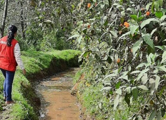 Contraloría: Gobierno Regional recibió obra que no funciona