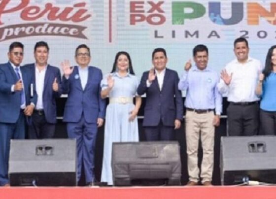 PROINVERSIÓN: Puno cuenta con S/ 2752 millones para ejecutar proyectos vía Obras por Impuestos