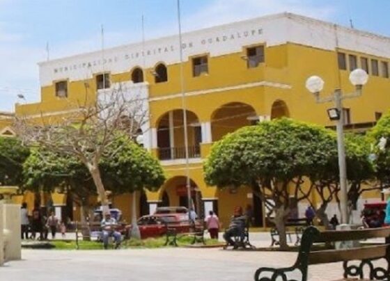 Contraloría Advierte que Municipalidad de Guadalupe Omitió Registro de Órdenes de Compra y Servicio Durante el 2025
