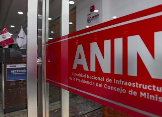 Consorcio ligado a Zhihua Yang fue presuntamente favorecido por la Anin