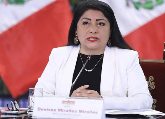 Decreto de Urgencia garantiza continuidad de obras paralizadas por falta de presupuesto