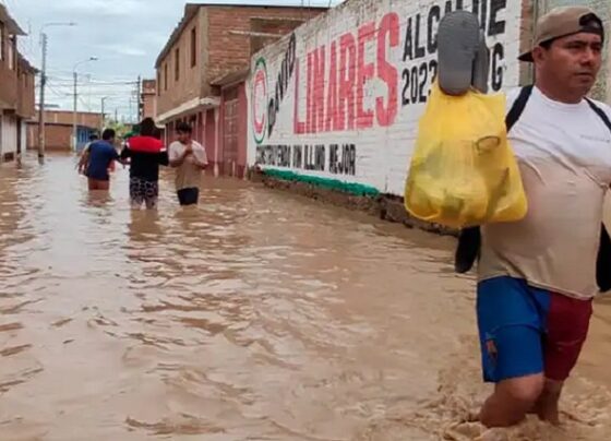 Lambayeque: denuncian que ANIN no ejecutó obra de defensas ribereñas en Íllimo y ahora el río podría arrasar 5 caseríos