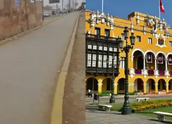 Municipalidad de Lima abandona millonaria ciclovía en el cono norte a 5 años de iniciada su construcción