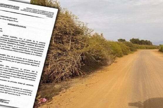 Provincia de Pacasmayo: Fiscalía Anticorrupción Investiga Presunta Negociación Incompatible en Licitación del 2020