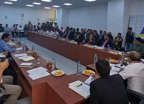 Ejecutivo y Consejo Regional de Huánuco enfrentados por proyecto de adquisición de camioncitos