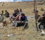 Denuncian irregularidades y deficiencias en proyecto de papa nativa en Huamalíes