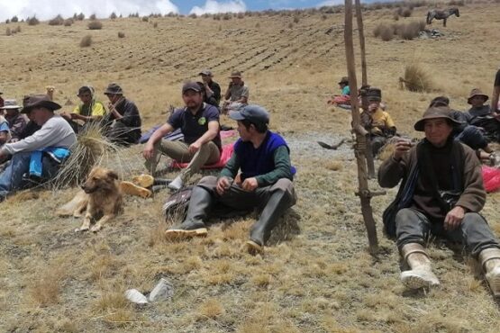 Denuncian irregularidades y deficiencias en proyecto de papa nativa en Huamalíes