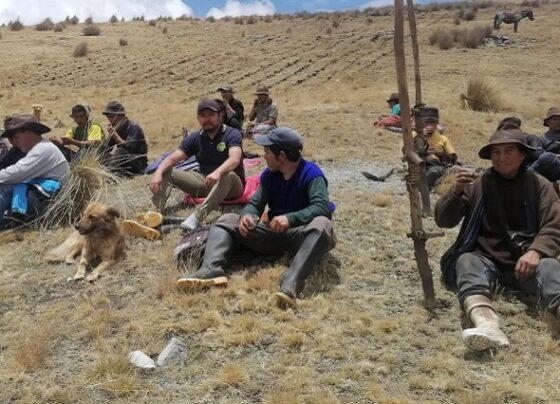 Denuncian irregularidades y deficiencias en proyecto de papa nativa en Huamalíes