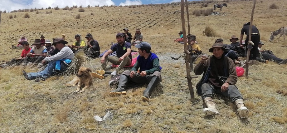 Denuncian irregularidades y deficiencias en proyecto de papa nativa en Huamalíes