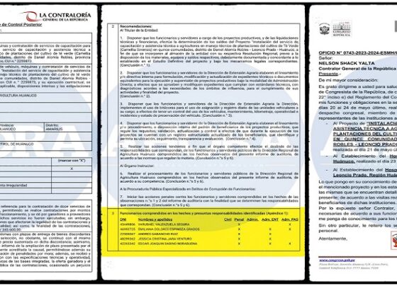 Escándalo en Huánuco: detectan firmas de fallecidos y fotos falsas en millonario fraude del té verde