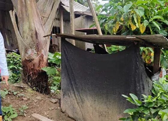 Gastan más de S/ 7.8 millones en baños sin agua potable en Ucayali: paralizan obra en distrito de Irazola que debía beneficiar a más de 260 familias rurales