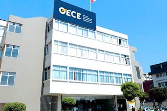 OECE propone directiva de bases estándar para procedimientos especiales de selección