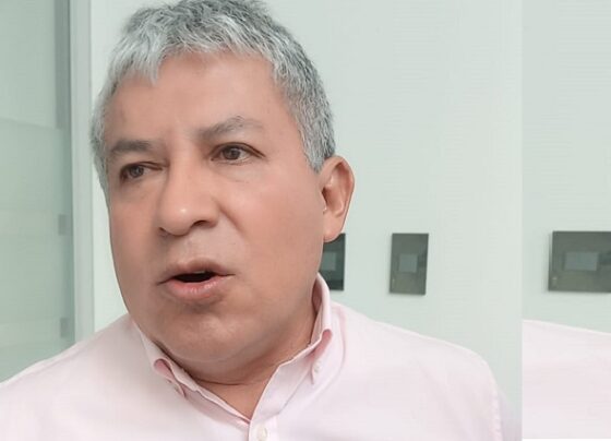 Pulgar admite observaciones en proyecto de camioncitos y dice que no todos serían beneficiados