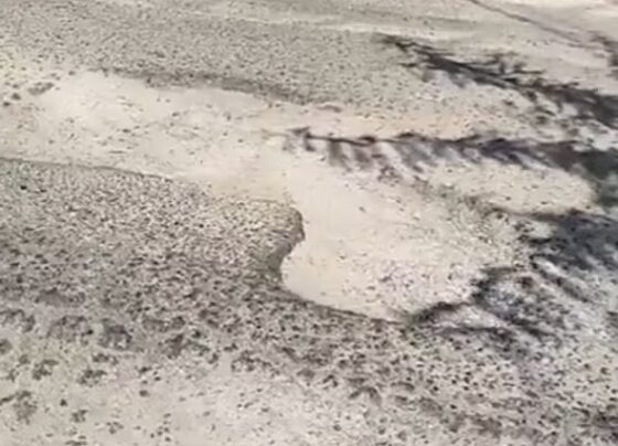 Transportistas denuncian grave deterioro de la avenida San Martín en pleno centro de Ica