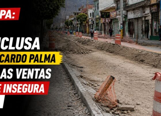 Arequipa: Obra inconclusa en av. Ricardo Palma frena las ventas y vuelve insegura la zona