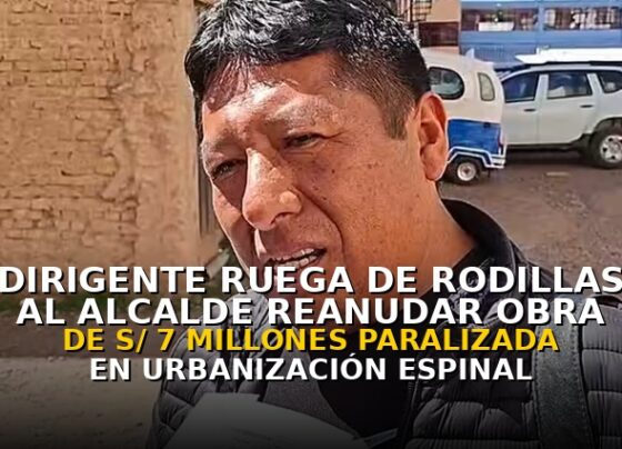 Dirigente ruega de rodillas al alcalde reanudar obra de S/ 7 millones paralizada en urbanización Espinal de Juliaca