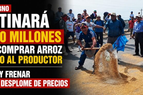 El Gobierno destinará S/150 millones para comprar arroz directo al productor y frenar desplome de precios