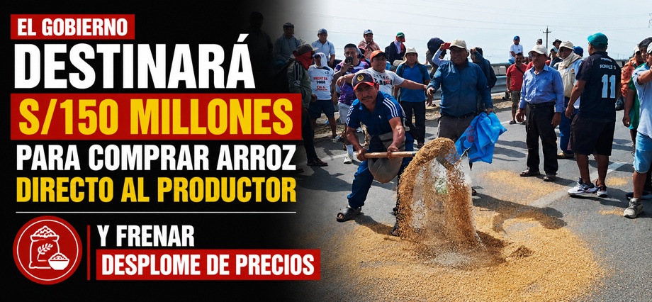 El Gobierno destinará S/150 millones para comprar arroz directo al productor y frenar desplome de precios
