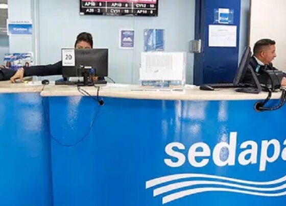 Funcionario de Sedapal rechaza favorecimiento en licitación: ingeniero Carlos Enrique Tiznado se defiende