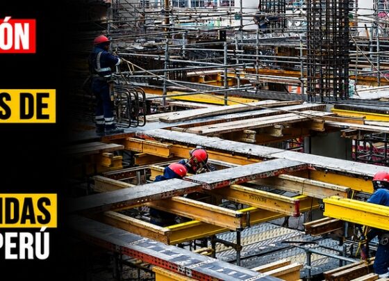 La razón legal detrás de 2,241 obras detenidas en el Perú