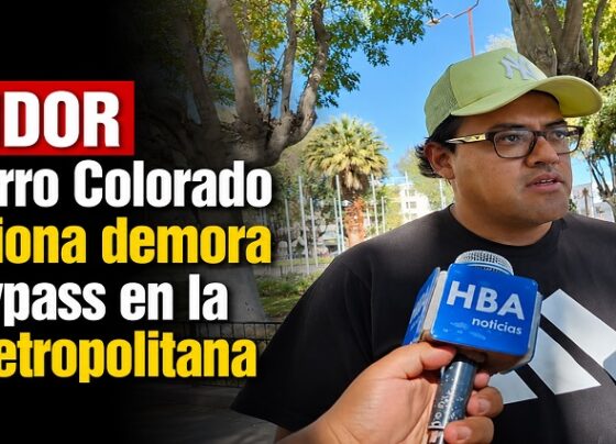 Regidor de Cerro Colorado cuestiona demora del bypass en la Av. Metropolitana