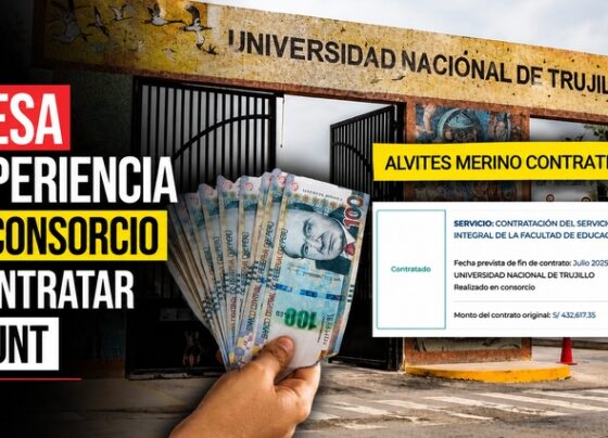Empresa sin experiencia forma consorcio para contratar con la UNT