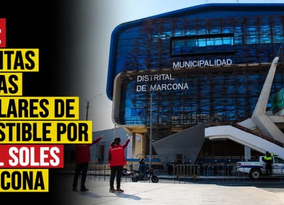 Nasca: presuntas compras irregulares de combustible por 232 mil soles en Marcona