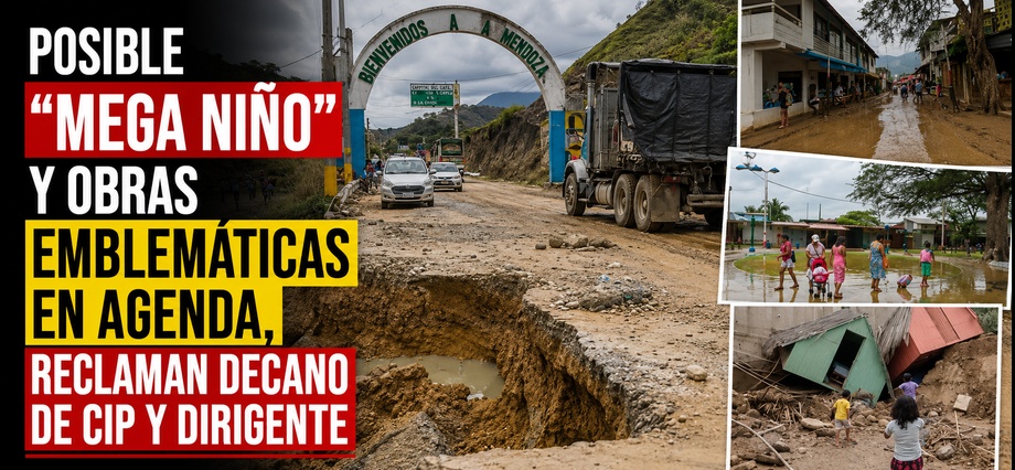 Posible “Mega Niño” y obras emblemáticas en agenda, reclaman decano de CIP y dirigente