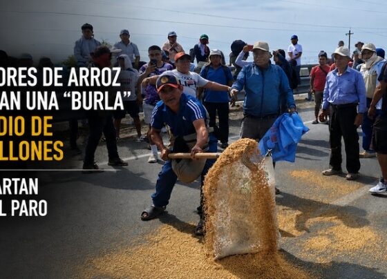 Productores de arroz consideran una “burla” el subsidio de S/120 millones y no descartan retomar el paro