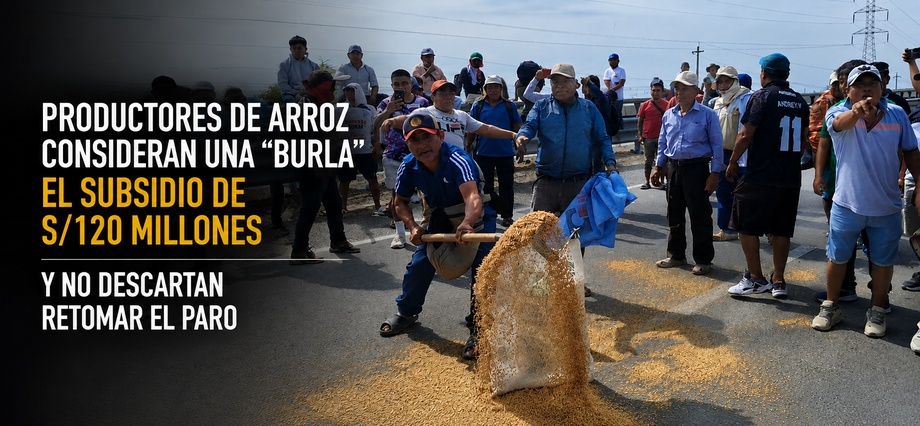 Productores de arroz consideran una “burla” el subsidio de S/120 millones y no descartan retomar el paro