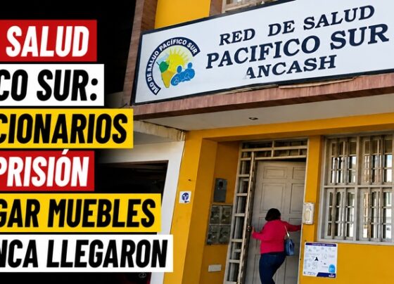 Red de Salud Pacífico Sur: exfuncionarios van a prisión por pagar muebles que nunca llegaron