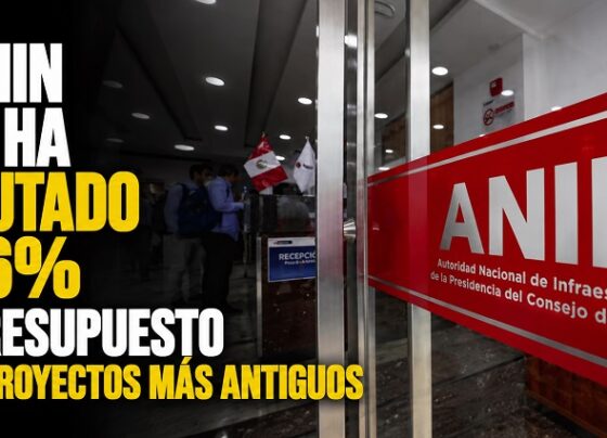 La ANIN solo ha ejecutado el 36% del presupuesto de sus proyectos más antiguos