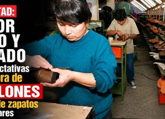 La Libertad: Sector cuero y calzado tiene expectativas por compra de 5 millones de pares de zapatos para escolares