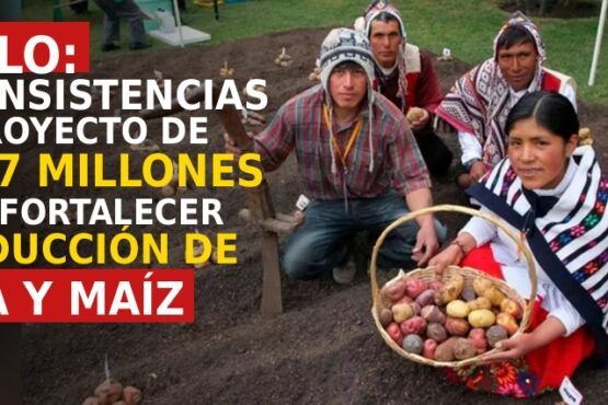 Pullo: Inconsistencias en proyecto de S/ 5,7 millones para fortalecer producción de papa y maíz