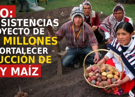 Pullo: Inconsistencias en proyecto de S/ 5,7 millones para fortalecer producción de papa y maíz