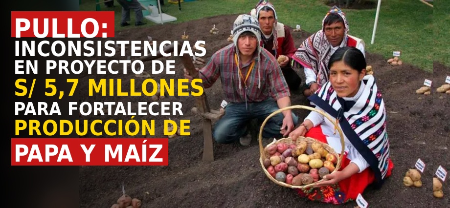 Pullo: Inconsistencias en proyecto de S/ 5,7 millones para fortalecer producción de papa y maíz