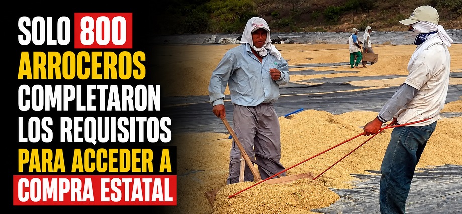 Solo 800 arroceros completaron los requisitos para acceder a compra estatal