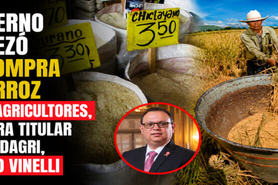 Gobierno empezó la compra de arroz a los agricultores, asegura titular del Midagri, Marco Vinelli