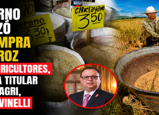Gobierno empezó la compra de arroz a los agricultores, asegura titular del Midagri, Marco Vinelli