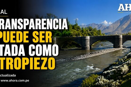 La transparencia no puede ser tratada como un tropiezo