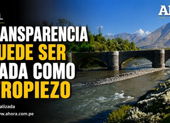 La transparencia no puede ser tratada como un tropiezo