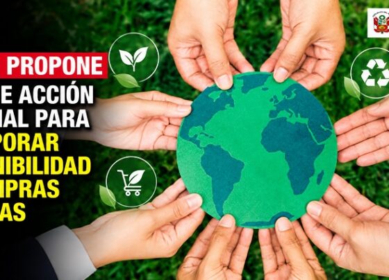 Minam propone Plan de Acción Nacional para incorporar sostenibilidad en compras públicas
