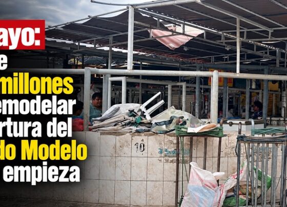 Chiclayo: obra de S/ 1.7 millones para remodelar la cobertura del mercado Modelo aún no empieza